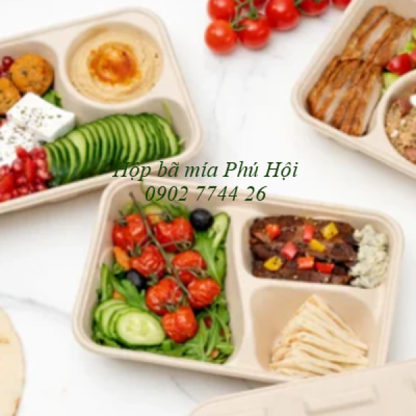 Hộp bã mía 3 ngăn nắp PET tại Quận 12 TP HCM